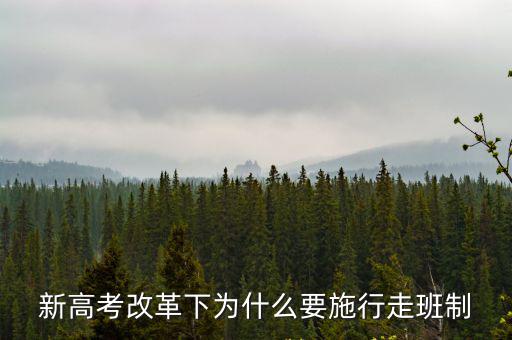 新高考改革下為什么要施行走班制