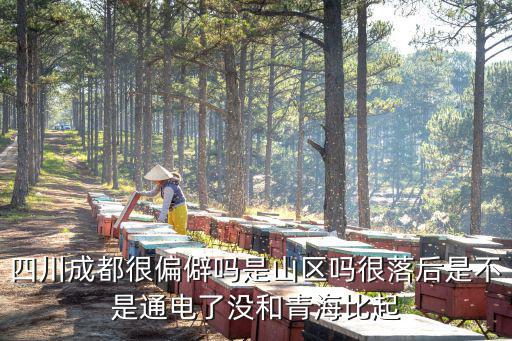 四川成都很偏僻嗎是山區(qū)嗎很落后是不是通電了沒和青海比起
