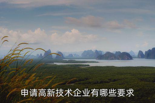 申請(qǐng)高新技術(shù)企業(yè)有哪些要求