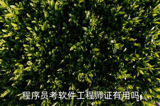  程序員考軟件工程師證有用嗎