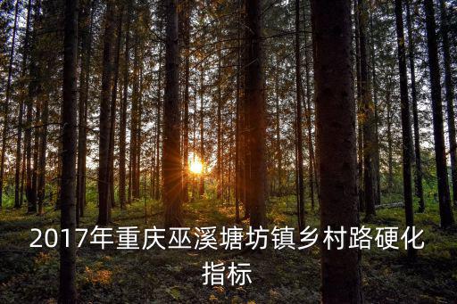 2017年重慶巫溪塘坊鎮鄉村路硬化指標