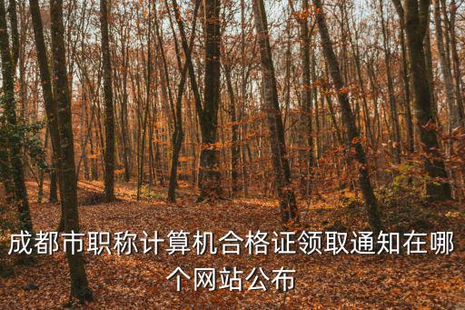 成都市職稱計算機合格證領取通知在哪個網站公布