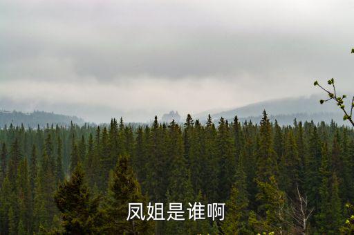 鳳姐是誰啊