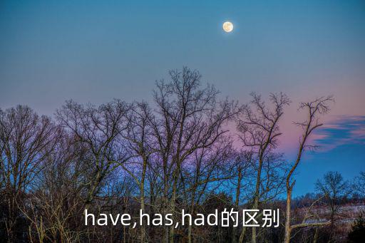 have,has,had的區(qū)別