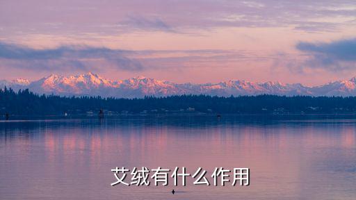 艾絨,艾絨的特點(diǎn):火力溫和有助于預(yù)防冠病