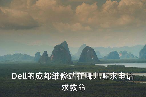 Dell的成都維修站在哪兒喔求電話 求救命