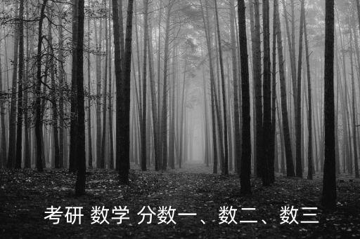  考研 數(shù)學 分數(shù)一、數(shù)二、數(shù)三