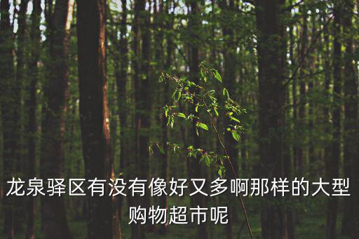 龍泉驛區(qū)有沒有像好又多啊那樣的大型購物超市呢