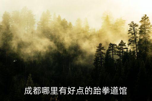 成都哪里有好點的跆拳道館