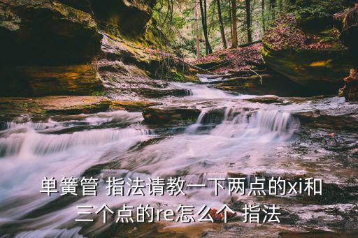  單簧管 指法請教一下兩點的xi和三個點的re怎么個 指法