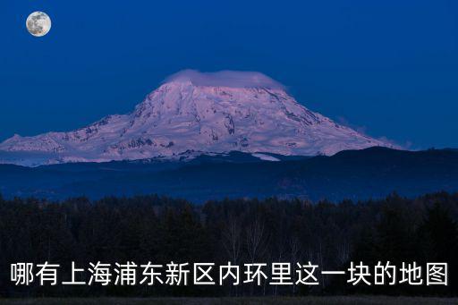 哪有上海浦東新區(qū)內(nèi)環(huán)里這一塊的地圖