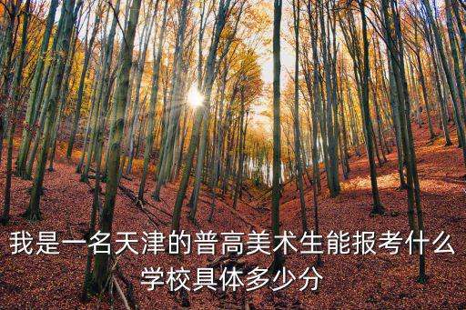 我是一名天津的普高美術生能報考什么學校具體多少分
