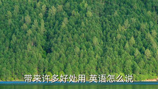 帶來許多好處用 英語怎么說