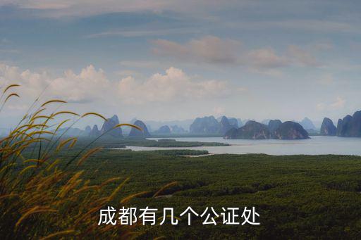 成都市公牛公證，成都有幾個(gè)公證處