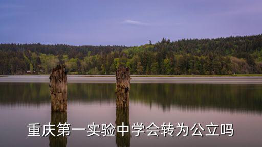 重慶市第一實(shí)驗(yàn)中學(xué)最新消息，重慶市實(shí)驗(yàn)中學(xué)原巴縣中學(xué)大約可以排名第幾
