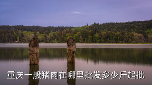 重慶一般豬肉在哪里批發(fā)多少斤起批