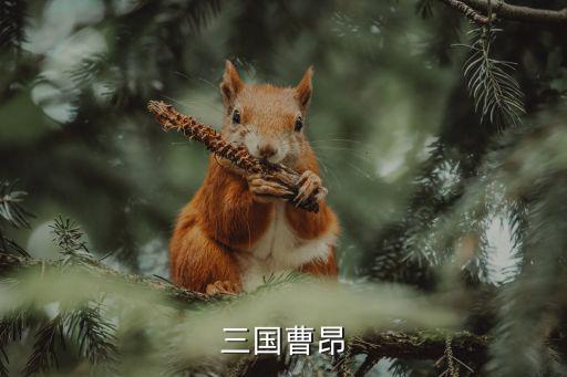 曹昂，三國曹昂