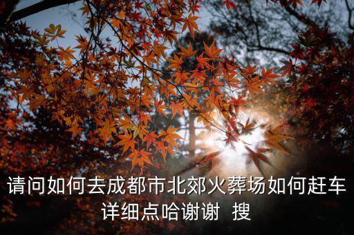 請問如何去成都市北郊火葬場如何趕車詳細(xì)點(diǎn)哈謝謝  搜