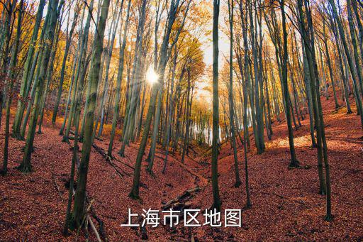 上海市區(qū)地圖