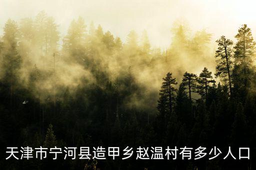 天津市寧河縣造甲鄉趙溫村有多少人口