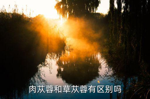 肉叢蓉,春季肉蓯蓉:營養(yǎng)會被消耗掉所以營養(yǎng)價值更低