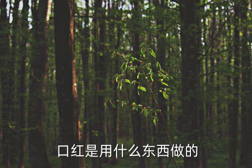 口紅是用什么做的,口紅的原料構成其實很簡單!