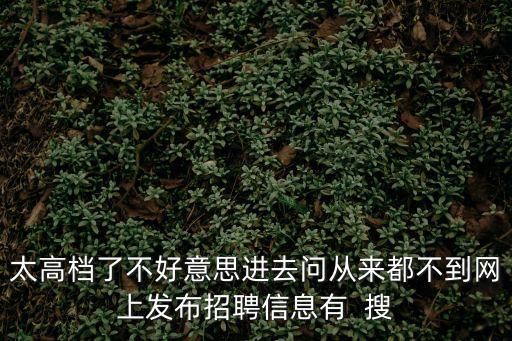 太高檔了不好意思進去問從來都不到網上發布招聘信息有  搜