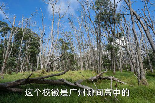 廣州各高中?；找挥[表，廣州哪間中學的校徽有1929