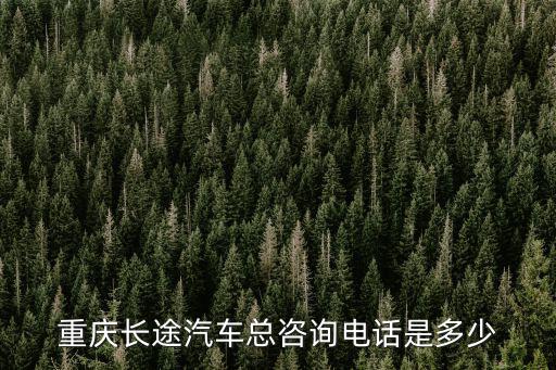 重慶長途汽車總咨詢電話是多少