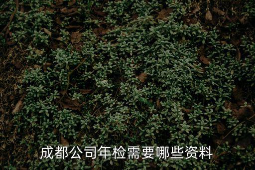 成都市公司公章，成都哪里可以刻章成都刻章