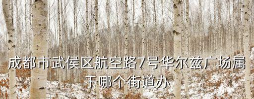 成都市武侯區航空路屬于什么街道，成都航空路屬于哪個區
