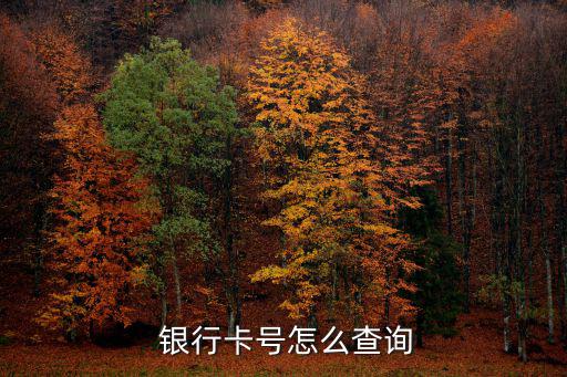  銀行卡號怎么查詢