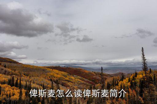 陴斯麥，俾斯麥怎么讀俾斯麥簡介