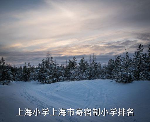 上海小學上海市寄宿制小學排名