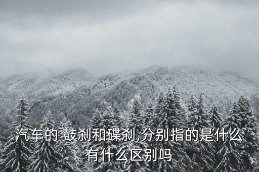 汽車的 鼓剎和碟剎,分別指的是什么有什么區別嗎