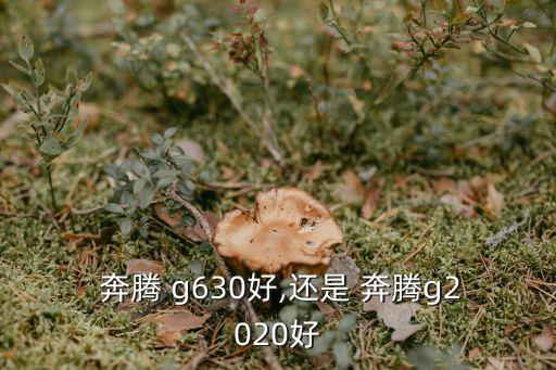 奔騰g630,為什么不在賽揚奔騰上集成hd3000?