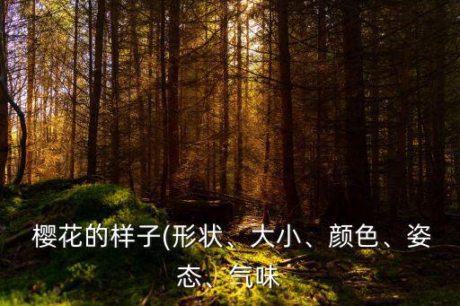  櫻花的樣子(形狀、大小、顏色、姿態(tài)、氣味