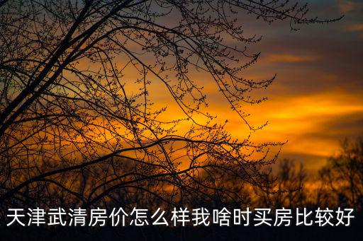 天津武清房價怎么樣我啥時買房比較好