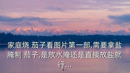 家庭燒 茄子看圖片第一部,需要拿鹽腌制 茄子,是放水淹還是直接放鹽就行...