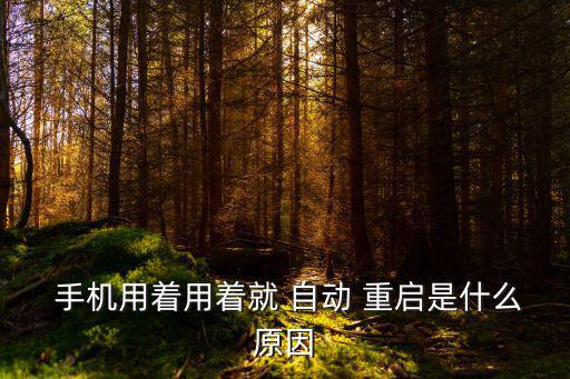 手機(jī)一直自動(dòng)重啟,手機(jī)total重啟什么原因?答（12）