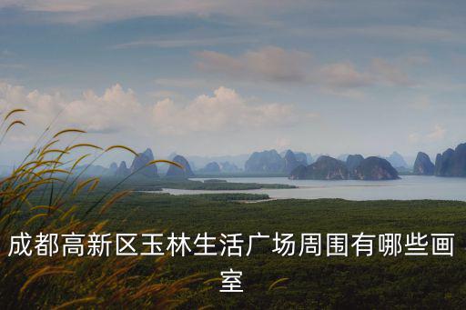 成都高新區玉林生活廣場周圍有哪些畫室