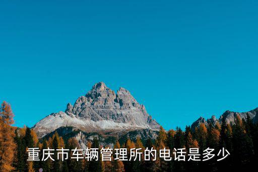 重慶市車(chē)輛管理所的電話是多少