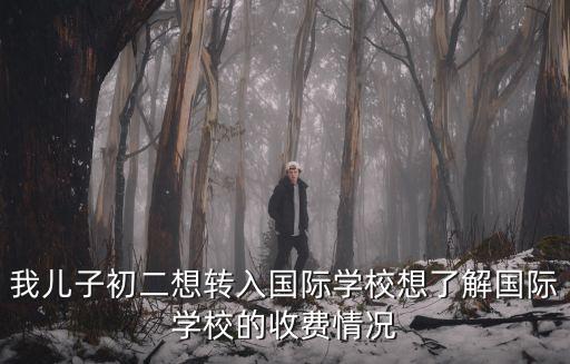 我兒子初二想轉(zhuǎn)入國際學(xué)校想了解國際學(xué)校的收費情況