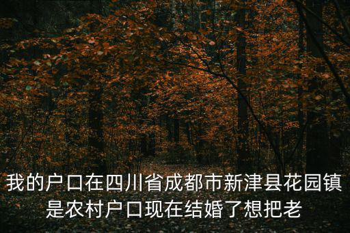 成都市新津縣婚遷條件，在新津落戶的政策有哪些2020