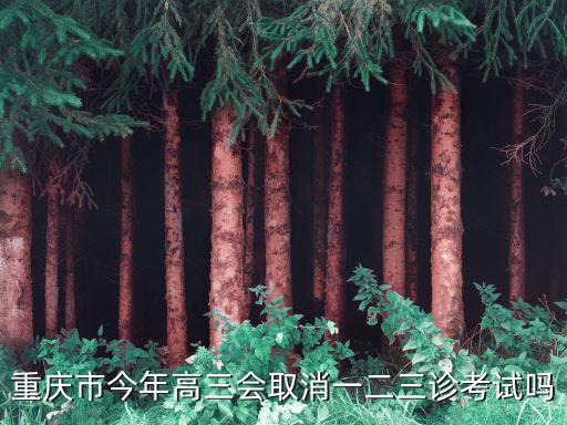 重慶市今年高三會取消一二三診考試嗎