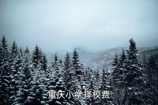 重慶小學擇校費