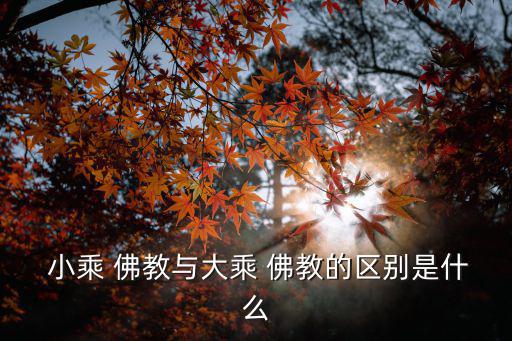  小乘 佛教與大乘 佛教的區別是什么