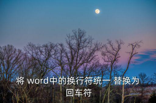 將 word中的換行符統一 替換為 回車符