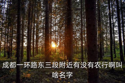 成都一環(huán)路東三段附近有沒有農(nóng)行啊叫啥名字