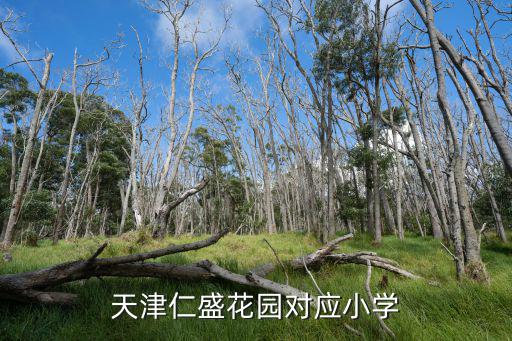 天津仁盛花園對(duì)應(yīng)小學(xué)